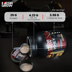 Leeford Megagrow Isolate Whey Protein Powder Cookies And Cream Flavor With Shaker 1 Kg Leeford Megagrow Isolate Whey Protein Powder Cookies And Cream Flavor With Shaker 1 Kg