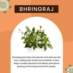 Leeford 100% Ayurvedic Enshine Bhringraj Hair Oil 60ml Leeford 100% Ayurvedic Enshine Bhringraj Hair Oil 60ml