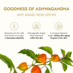 Kapiva Ashwagandha Anti-Aging Face Oil 30ml Kapiva Ashwagandha Anti-Aging Face Oil 30ml