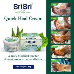 Sri Sri Tattva Ayurvedische Schnellheilungscreme 25 g Sri Sri Tattva Ayurvedische Schnellheilungscreme 25 g