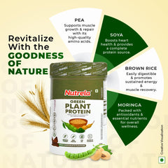 Patanjali Nutrela Green Plant protein Chocolate Powder 500g Patanjali Nutrela Green Plant protein Chocolate Powder 500g