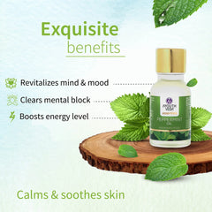 Aimil Ayouthveda Cosmetics Jasmine,Orange,Cedarwood,Peppermint,Grape Fruit,Eucalyptus,Lavender & Pine Essential Oil 15ml Aimil Ayouthveda Cosmetics Jasmine,Orange,Cedarwood,Peppermint,Grape Fruit,Eucalyptus,Lavender & Pine Essential Oil 15ml