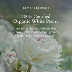 Lotus Organics+ Precious Brightening Creme Cream SPF-20 50g Lotus Organics+ Precious Brightening Creme Cream SPF-20 50g