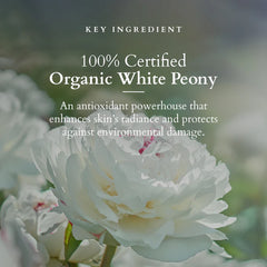 Lotus Organics+ Cosmetics Precious Brightening Toning Essence Spray 50ml Lotus Organics+ Cosmetics Precious Brightening Toning Essence Spray 50ml