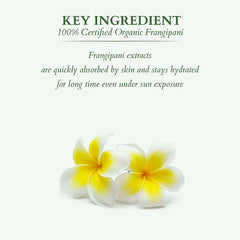 Lotus Herbals Cosmetics Mist+ Facial Kit Combo Lotus Herbals Cosmetics Mist+ Facial Kit Combo