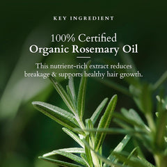 Lotus Organics+ Cosmetics Hair Growth Active Concentrate Serum 28ml Lotus Organics+ Cosmetics Hair Growth Active Concentrate Serum 28ml
