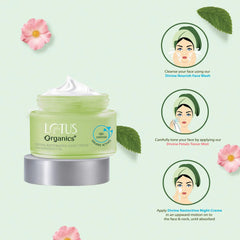 Lotus Organics+ Cosmetics Divine Restorative Night Cream 50g Lotus Organics+ Cosmetics Divine Restorative Night Cream 50g