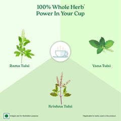 Organic India Tulsi Original Green Tea 25 Teabag,50 Teabag & 100g Tin Organic India Tulsi Original Green Tea 25 Teabag,50 Teabag & 100g Tin