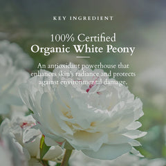 Lotus Organics+ Brightening De Tan Face Pack 100g Lotus Organics+ Brightening De Tan Face Pack 100g