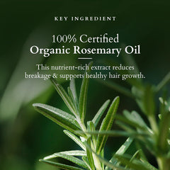 Lotus Organics+ Cosmetics Hair Fall Control Shampoo 300ml Lotus Organics+ Cosmetics Hair Fall Control Shampoo 300ml