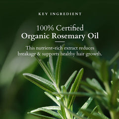Lotus Organics+ Cosmetics Hair Fall Control Revival Mask 150g Lotus Organics+ Cosmetics Hair Fall Control Revival Mask 150g