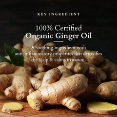 Lotus Organics+ Cosmetics Intensive Scalp Revitalizing Tonic 100ml Lotus Organics+ Cosmetics Intensive Scalp Revitalizing Tonic 100ml