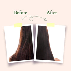 Lotus Organics+ Cosmetics Hair Fall Control Revival Mask 150g Lotus Organics+ Cosmetics Hair Fall Control Revival Mask 150g