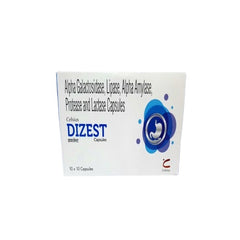 Ayu Labs Ayurvedic Dizest 500 Tablets Ayu Labs Ayurvedic Dizest 500 Tablets
