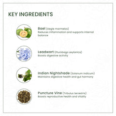 AVP Ayurvedic Dasamoolarishtam Liquid 450ml AVP Ayurvedic Dasamoolarishtam Liquid 450ml