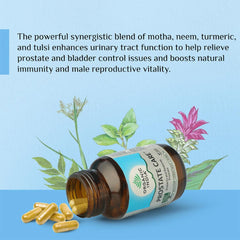Organic India Prostate Care Capsules Organic India Prostate Care Capsules