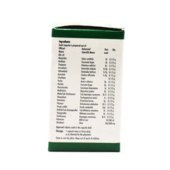 Nagarjuna Ayurvedic Phalasarpis Soft Gel 100 Capsules Nagarjuna Ayurvedic Phalasarpis Soft Gel 100 Capsules