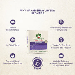 Maharishi Ayurveda Lipomap Natural Remedy 40 Tablets Maharishi Ayurveda Lipomap Natural Remedy 40 Tablets