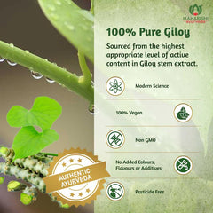 Maharishi Ayurveda Giloy Ghan Vati 60 Tablets Maharishi Ayurveda Giloy Ghan Vati 60 Tablets