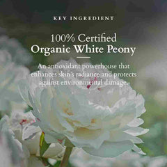 Lotus Herbals Cosmetics Precious Brightening Facial Kit Lotus Herbals Cosmetics Precious Brightening Facial Kit
