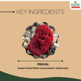 Sandu Ayurvedic Praval Pishti Powder 10g