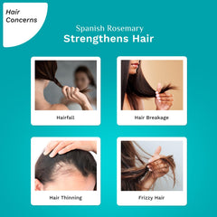 Pilgrim Cosmetics Spanish Rosemary & Biotin Anti-Hairfall Hair Mask 200.0 gm | 7.05 oz Pilgrim Cosmetics Spanish Rosemary & Biotin Anti-Hairfall Hair Mask 200.0 gm | 7.05 oz