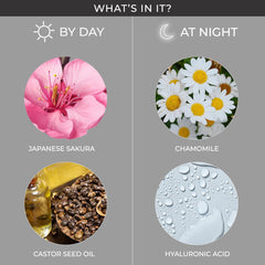 Lotus Make Up Herbals Cosmetics Proedit Day & Night Mascara 13gms Lotus Make Up Herbals Cosmetics Proedit Day & Night Mascara 13gms