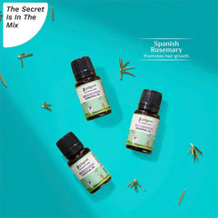 Pilgrim Cosmetics Spanish Rosemary Essential Oil 10ml Pilgrim Cosmetics Spanish Rosemary Essential Oil 10ml