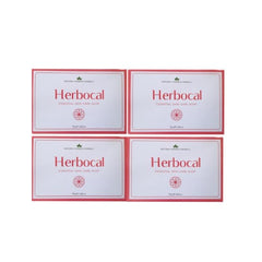 Natural Homoeo Herbocal Herbal Soap 4 X 75g