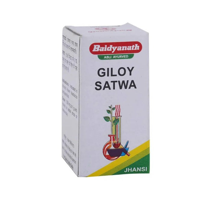 Baidyanath Ayurvedic Jhansi Giloy Satwa Powder