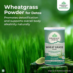Organic India Organic Wheatgrass Powder 100g
