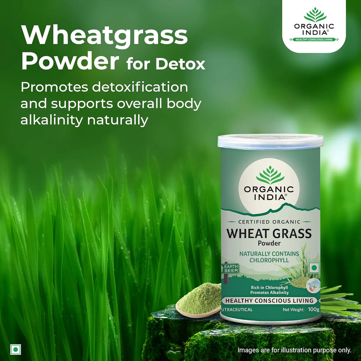Organic India Organic Wheatgrass Powder 100g