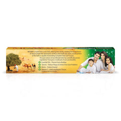 Dabur Ayurvedic Meswak Complete Oral Care Toothpaste