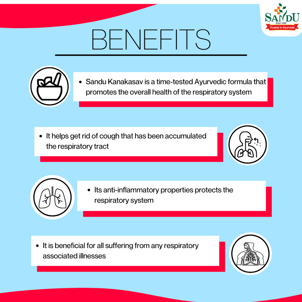 Sandu Ayurvedic Kanakasav Liquid