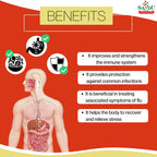 Sandu Ayurvedic Mahasudarshan Kadha Liquid