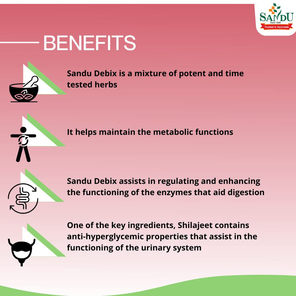 Sandu Ayurvedic Debix 30 Tablets