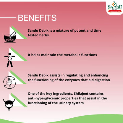 Sandu Ayurvedic Debix 30 Tablets