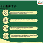 Sandu Ayurvedic Somajeevani Liquid