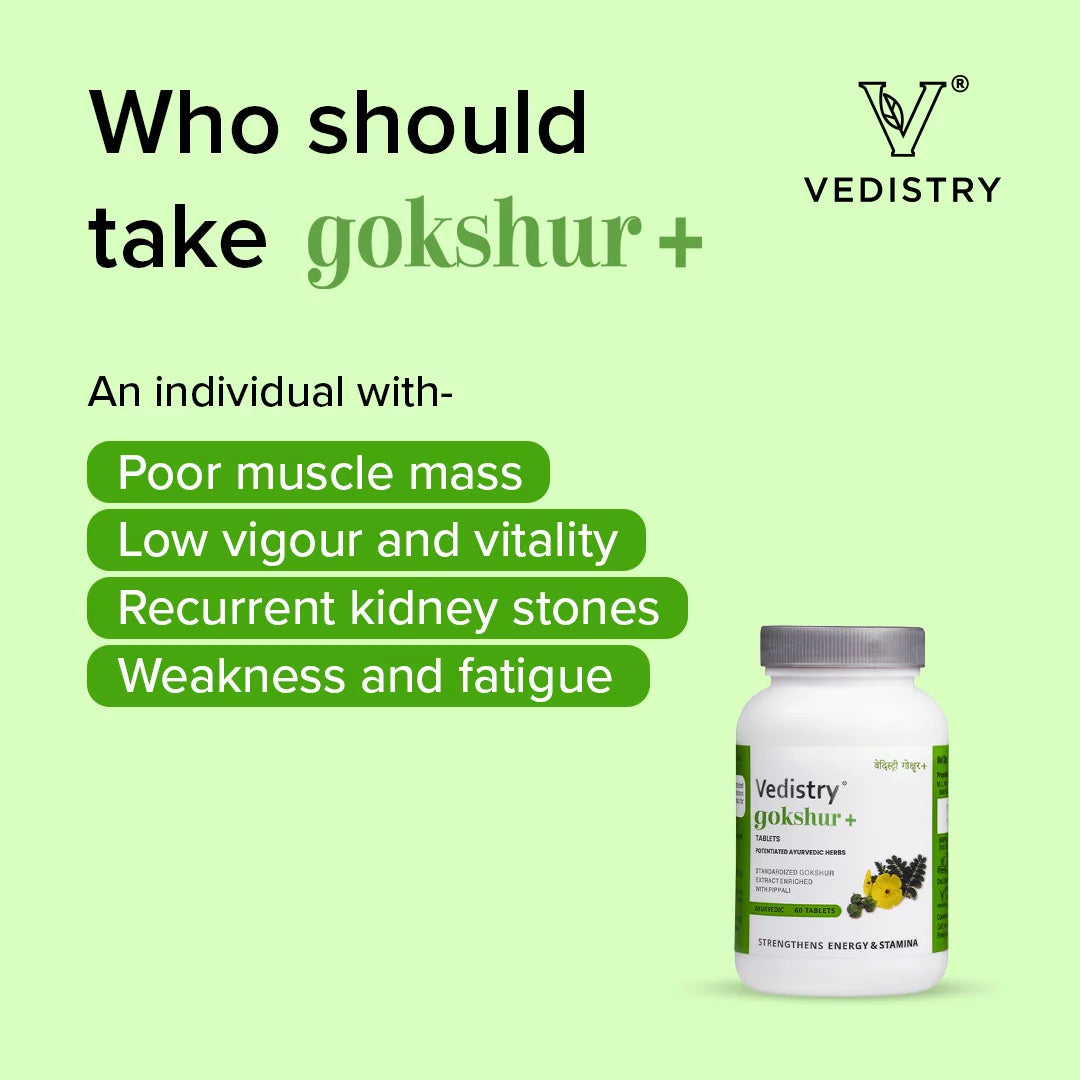 Vedistry Ayurvedic Gokshur+ Strengthens Energy Stamina 60 Tablets