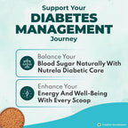 Patanjali Nutrela Diabetic Care For Weight & Blood Sugar Management Powder 400g