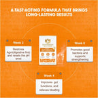 Maharishi Ayurveda Gut Health Ayurvedic Formulation 60 Tablets