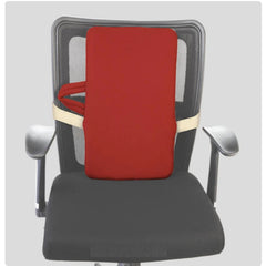 Flamingo Health Orthopaedic Back Rest (Medium) Type Cushion & Pillows Color Maroon Or Blue Code 2115