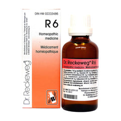 Dr. Reckeweg Homöopathie R6 Grippe Tropfen 22 ml