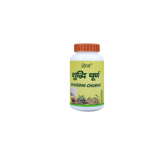 Patanjali Divya Shuddhi Churna Pulver 100g