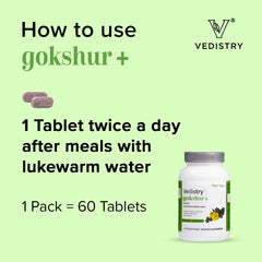 Vedistry Ayurvedic Gokshur+ Strengthens Energy Stamina 60 Tablets