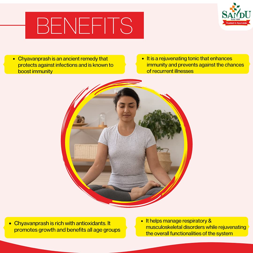 Sandu Ayurvedic Chyavanprash