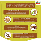 Sandu Ayurvedic Aswhagandharishta Liquid