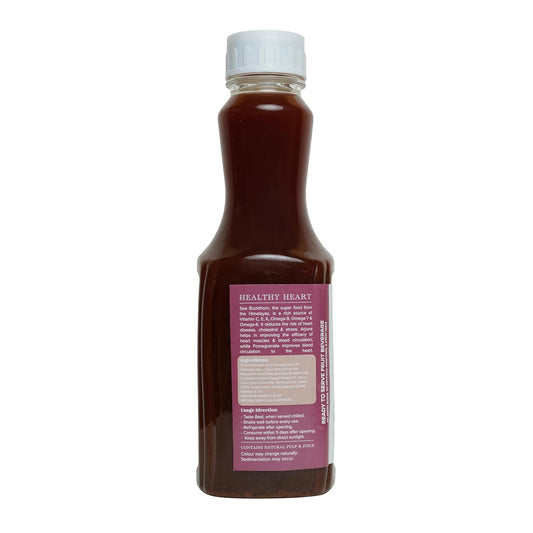 Baidhyanath Ayurvedischer Ladakh Beerensaft aus dem Hause enthält natürliches Fruchtfleisch und Saft 200ml