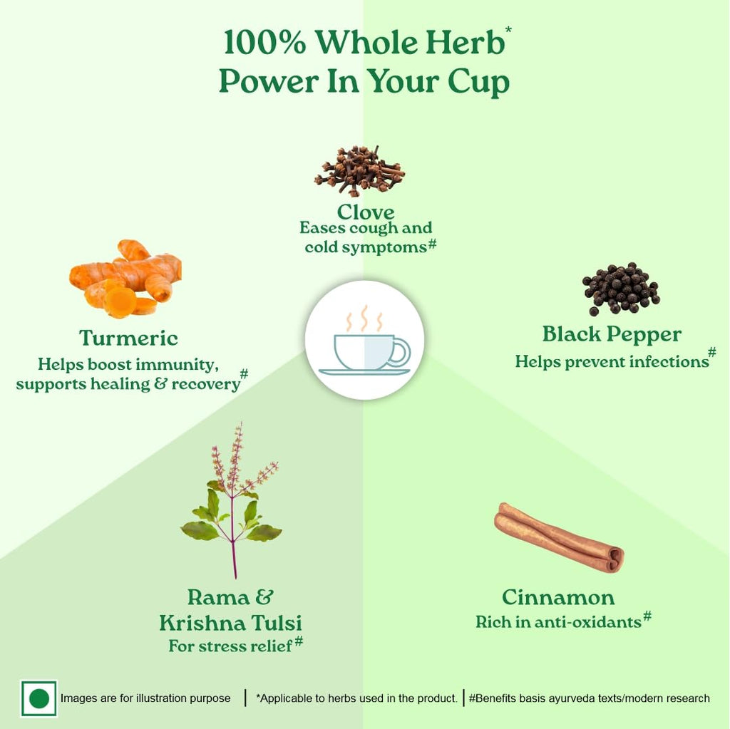 Organic India Tulsi Ginger Turmeric Green Tea 25 Infusion Bag