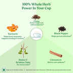 Organic India Tulsi Ginger Turmeric Green Tea 25 Infusion Bag